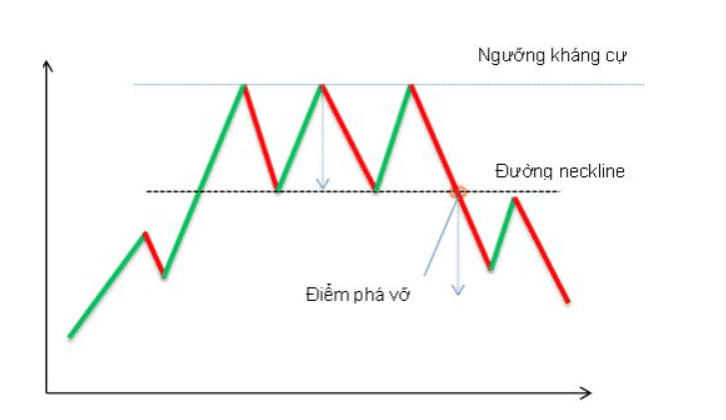 Đặc điểm nhận dạng