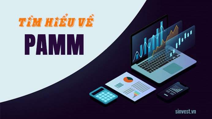 PAMM là gì? 6 tiêu chí quan trọng để lựa chọn quỹ PAMM tốt nhất