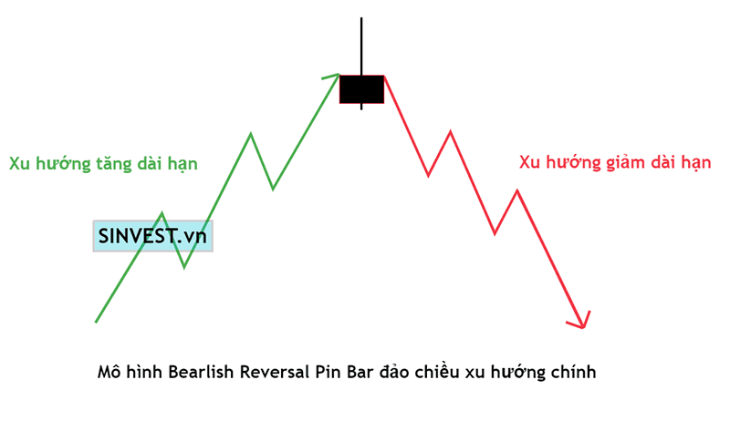 Pin Bar đảo chiều xu hướng chính 2