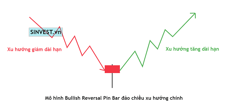 Pin Bar đảo chiều xu hướng chính