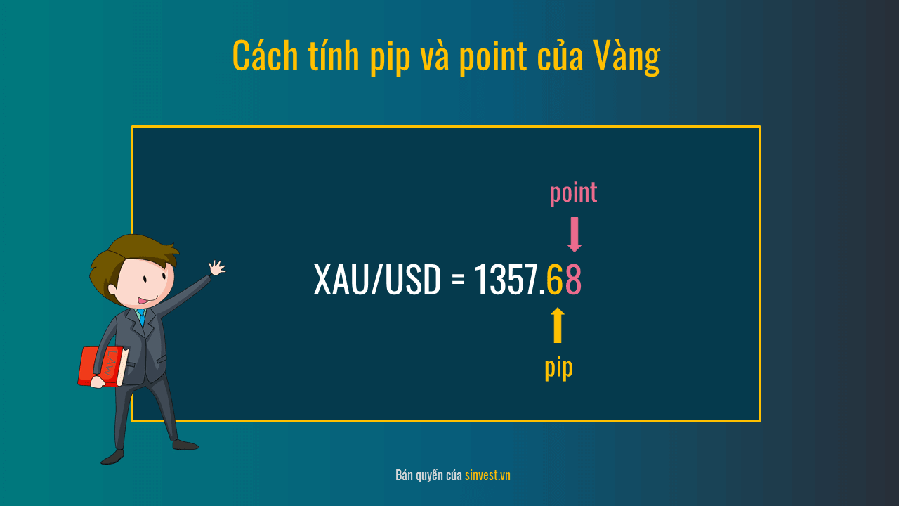 Pip và Point là gì?