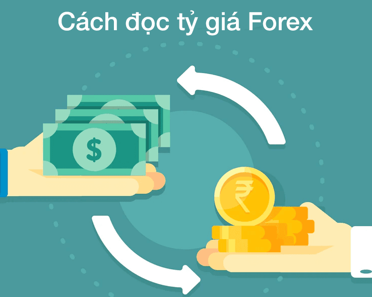 Cách đọc tý giá Forex