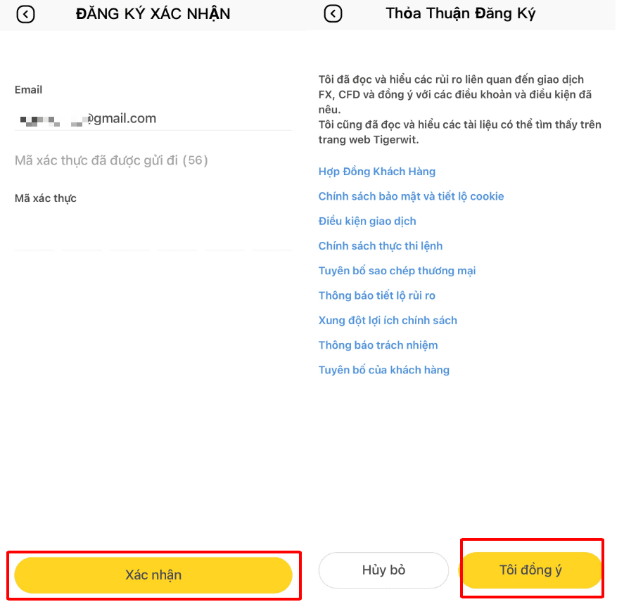 Xác nhận email và đồng ý điều khoản