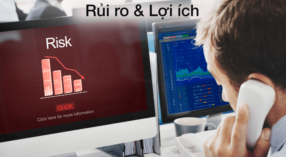 Rủi ro và Lợi ích