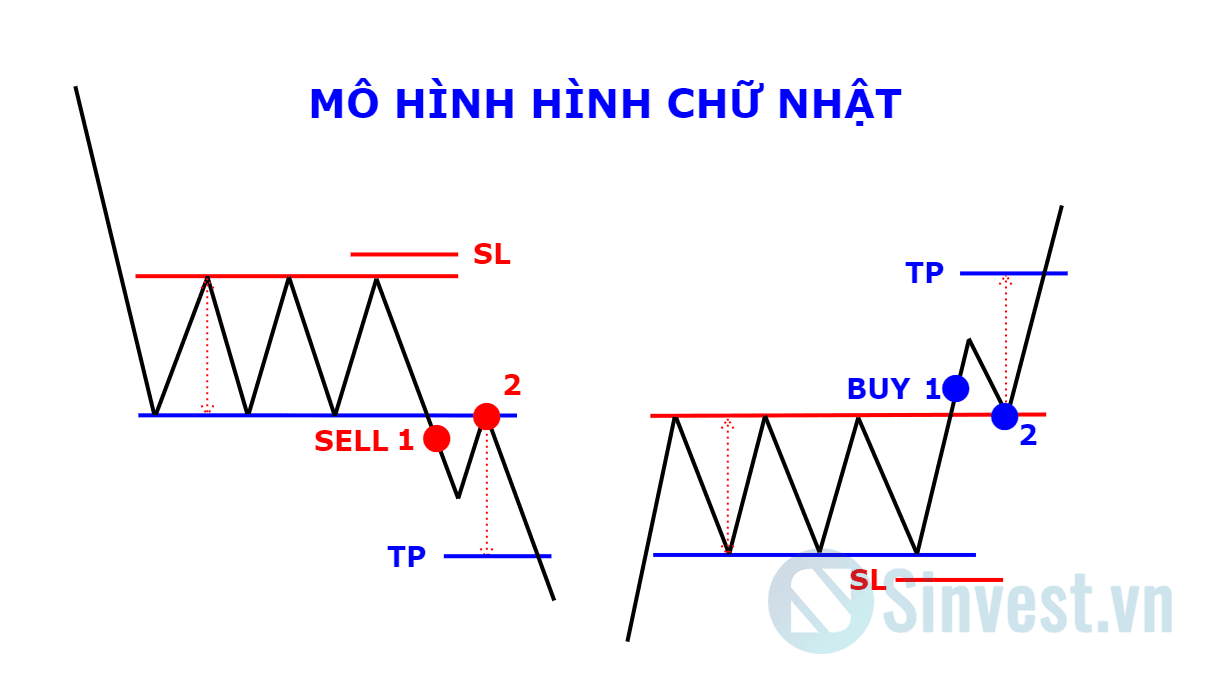 Mô hình chữ nhật là gì?