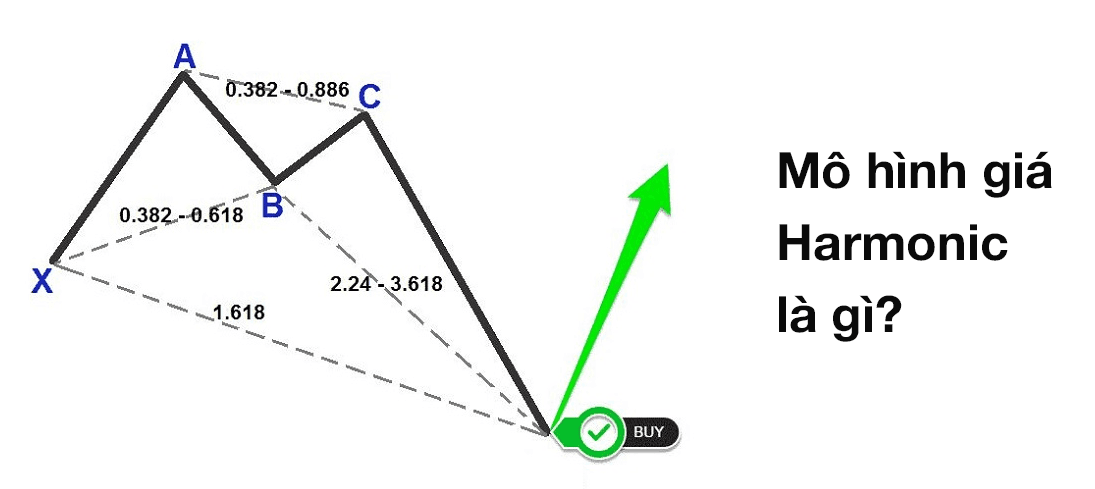 Mô hình giá Harmonic là gì?