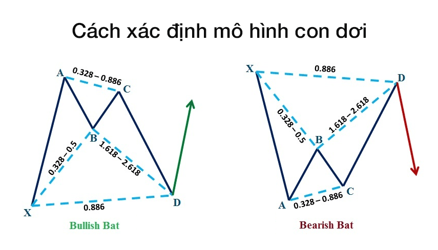 Cách xác định mô hình con dơi