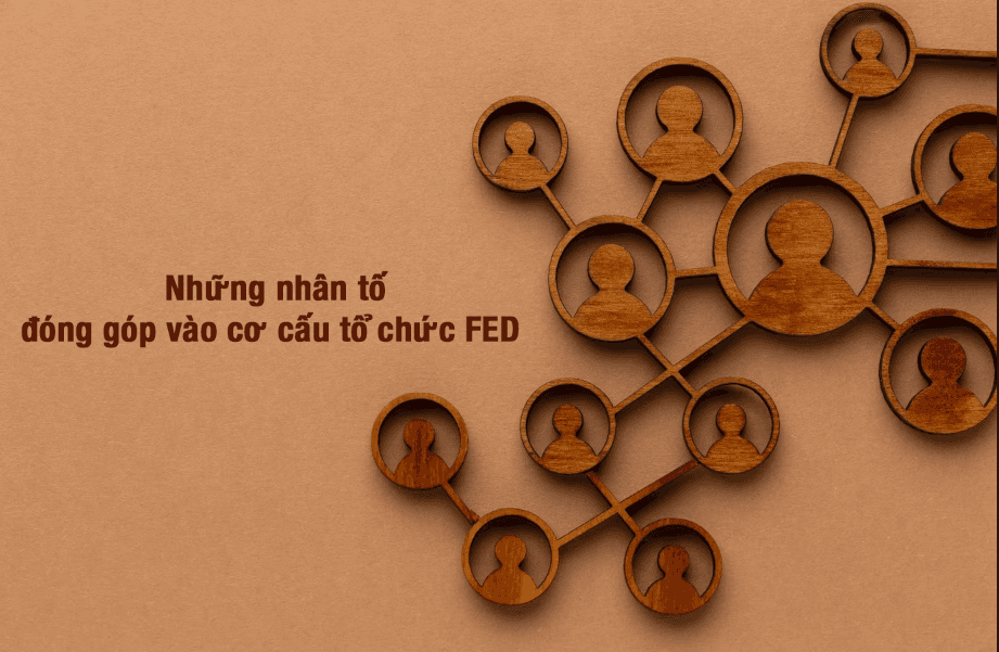3. Những nhân tố có chức năng quan trọng đóng góp vào cơ cấu tổ chức Fed