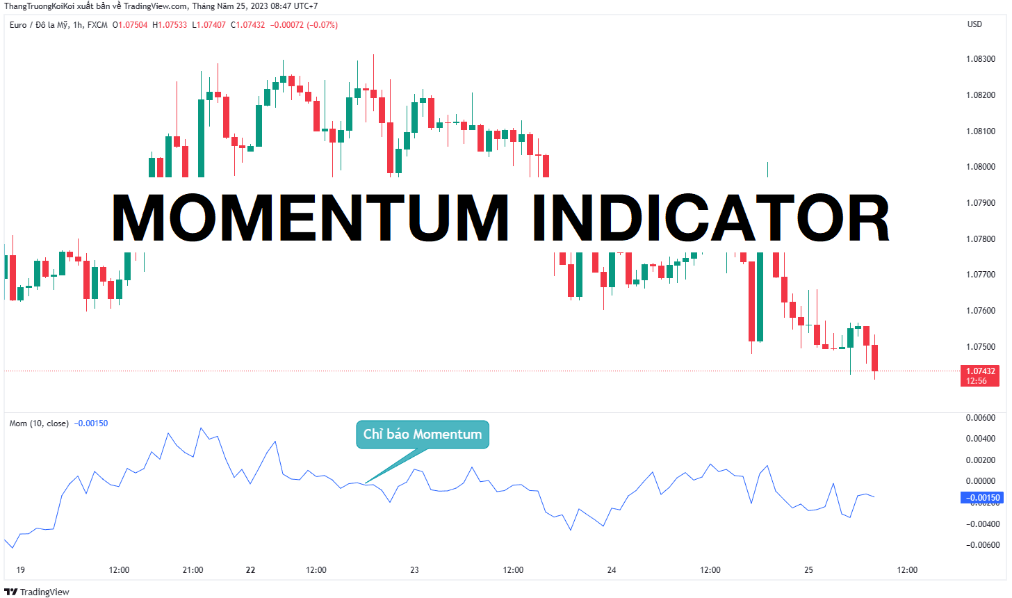 Chỉ báo Momentum là gì?