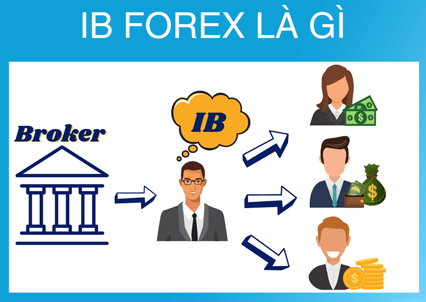 IB sàn Forex là gì?