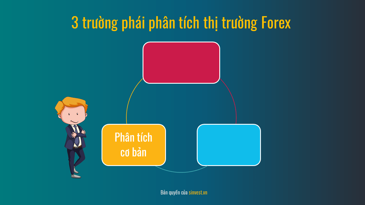 Phân tích cơ bản là gì?