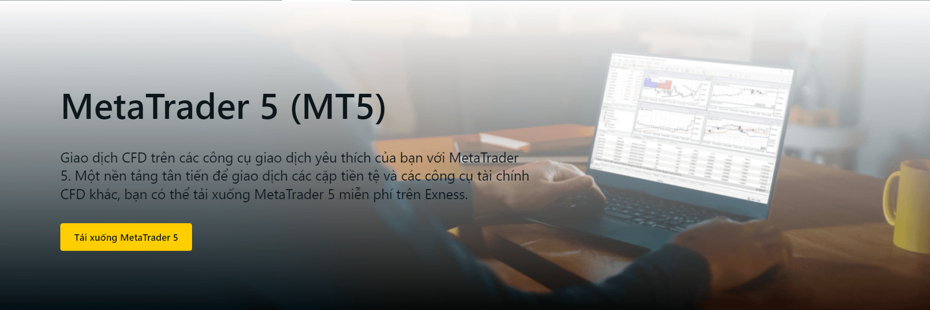 MT5 Exness