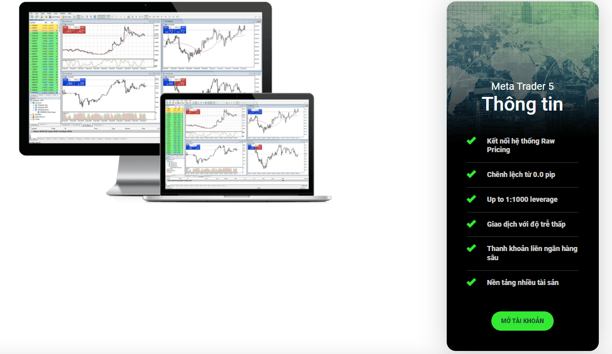 MT5 ICMarkets