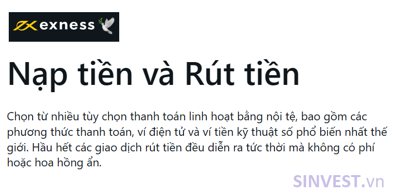Top 3 sàn Forex rút tiền nhanh nhất 2023 – Sàn Exness