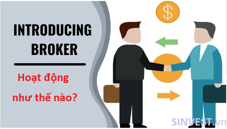 IB Forex hoạt động như thế nào?