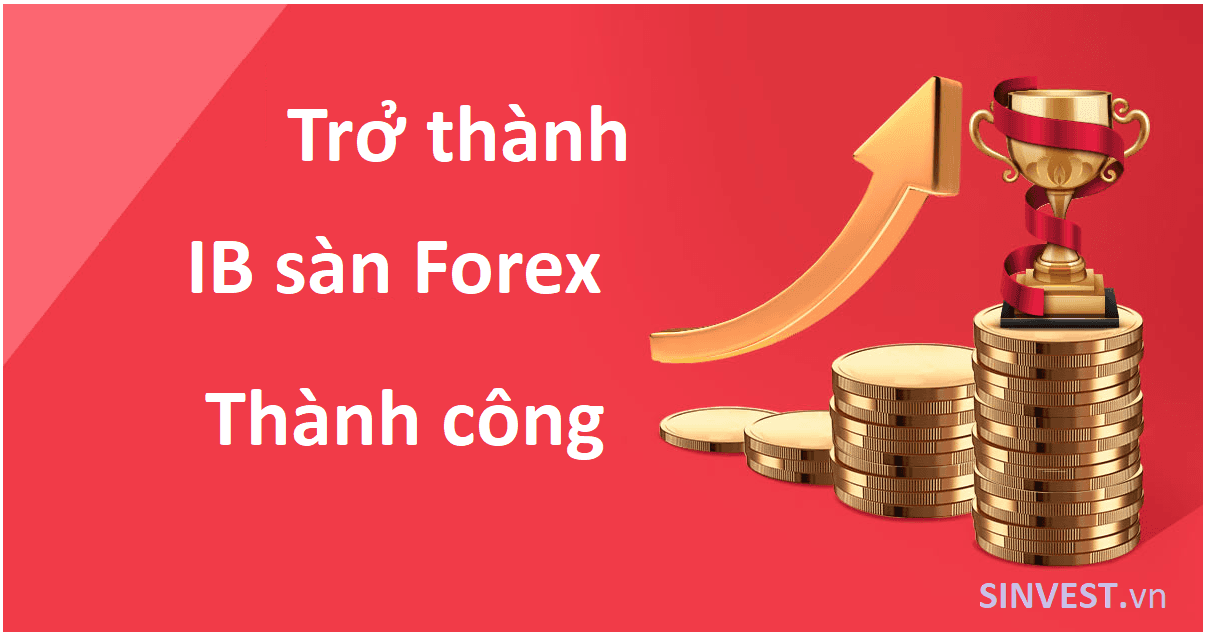 Trở thành IB thành công