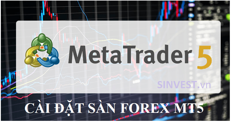 Cài đặt sàn Forex MT5 ở đâu?