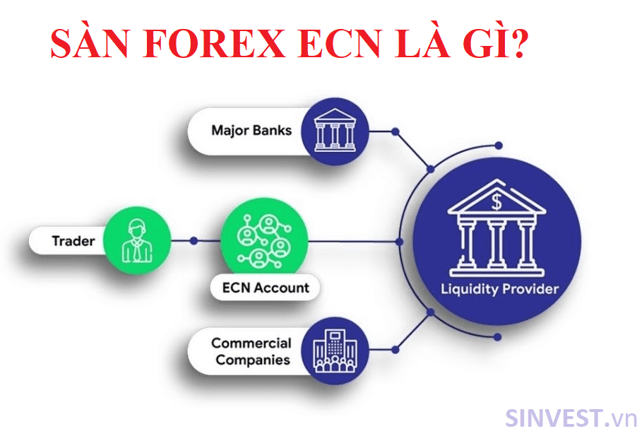 Sàn Forex ECN là gì?