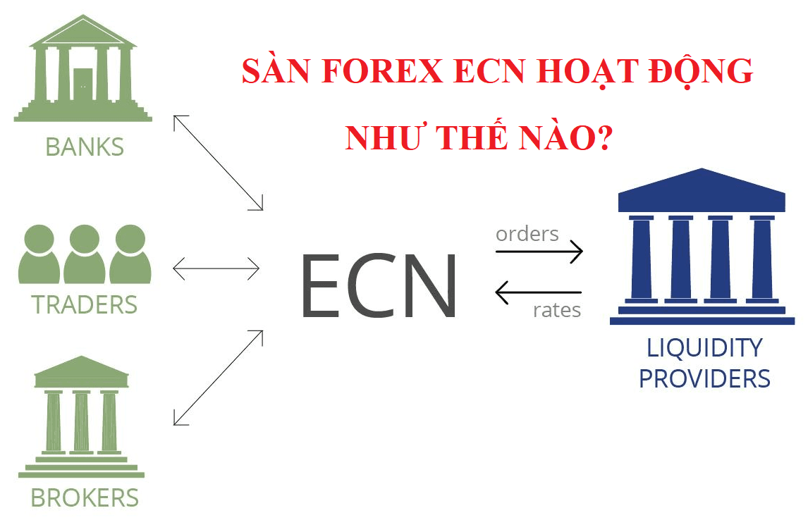 Sàn Forex ECN hoạt động như thế nào?