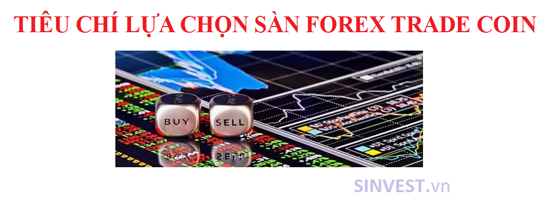 Các tiêu chí chọn sàn Forex trade coin tốt nhất