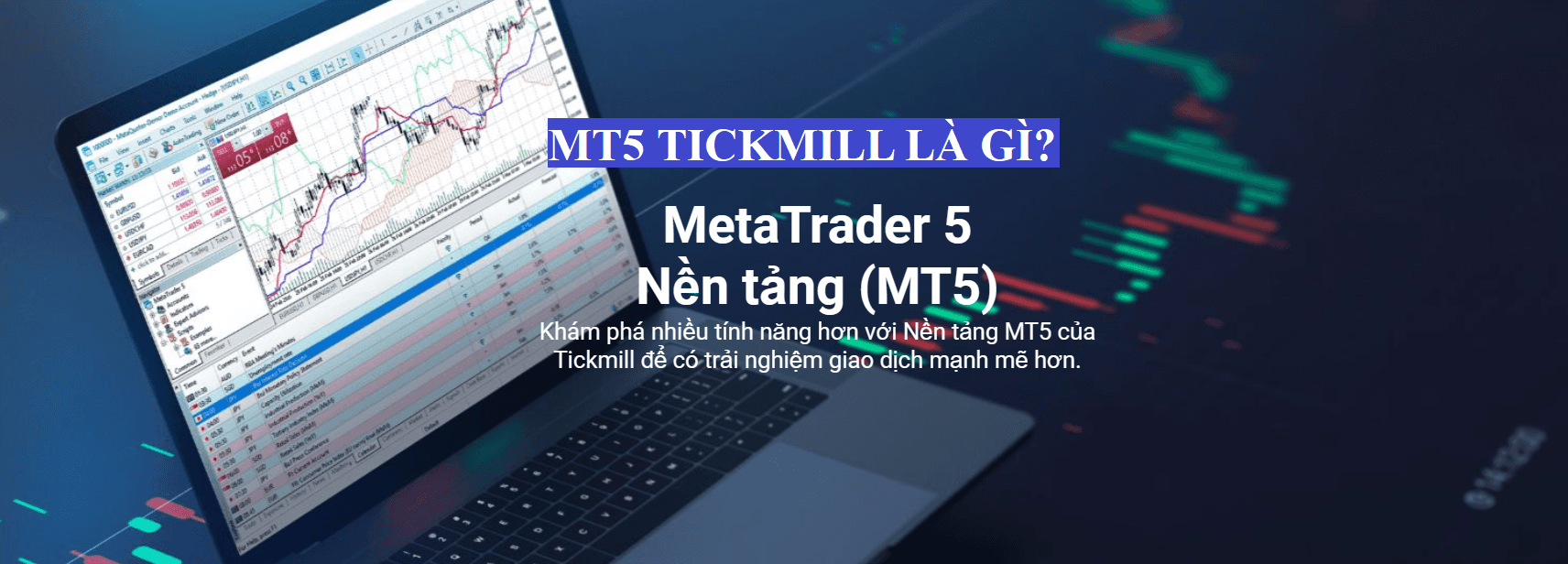 MT5 Tickmill là gì?