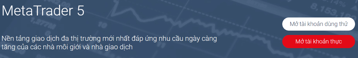 Nền tảng MT5