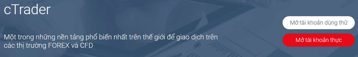 Nền tảng cTrader sàn Fibo Group