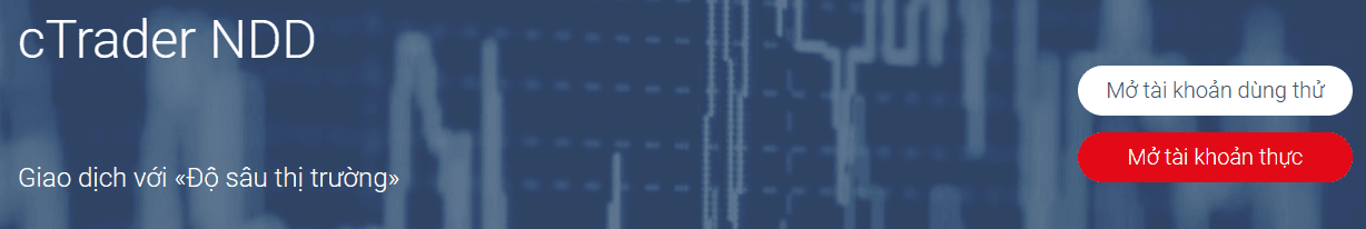 Tài khoản cTrader NDD