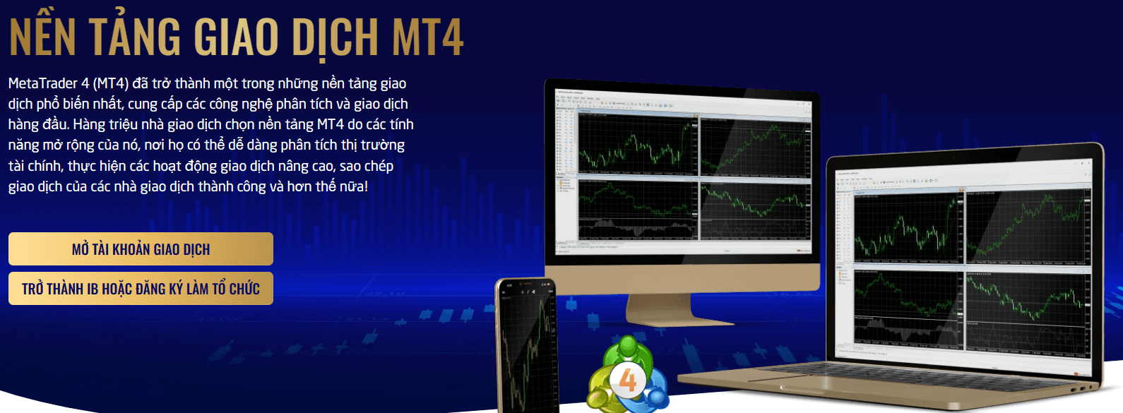 Nền tảng MT4 Multibank