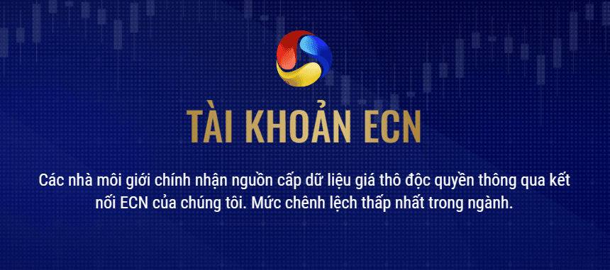 Tài khoản ECN